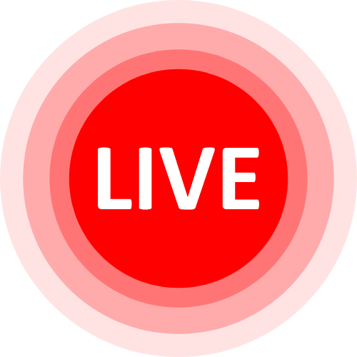 Free Cam Model